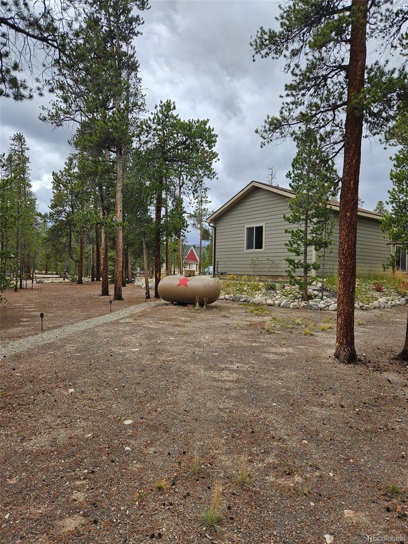 455 Cedar Dr, Leadville, CO 80461