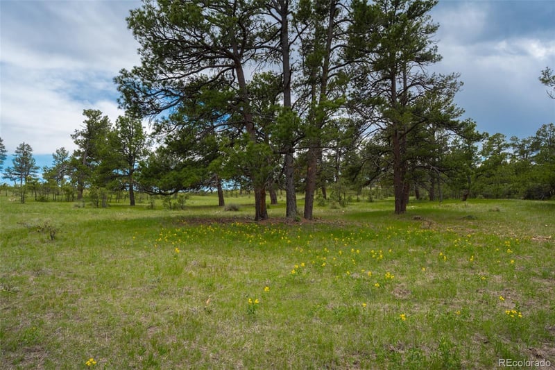 Parcel #5 County Road 122, Ramah, CO 80832