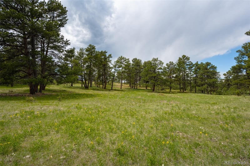 Parcel #5 County Road 122, Ramah, CO 80832