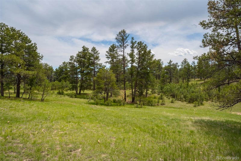 Parcel #5 County Road 122, Ramah, CO 80832