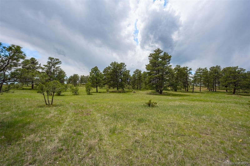 Parcel #5 County Road 122, Ramah, CO 80832