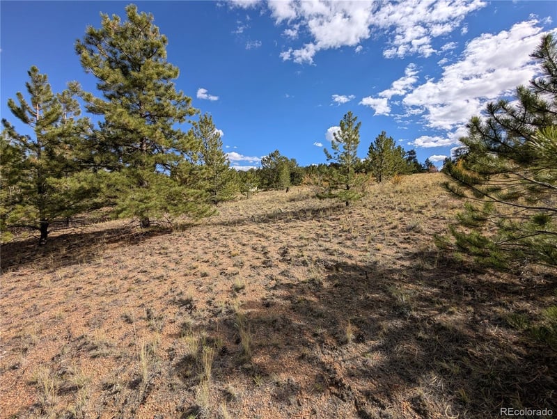 Tonkawa Rd, Hartsel, CO 80449