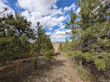 Tonkawa Rd, Hartsel, CO 80449