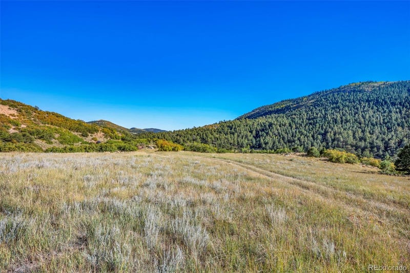 92 Bear Trax Dr, Canon City, CO 81212