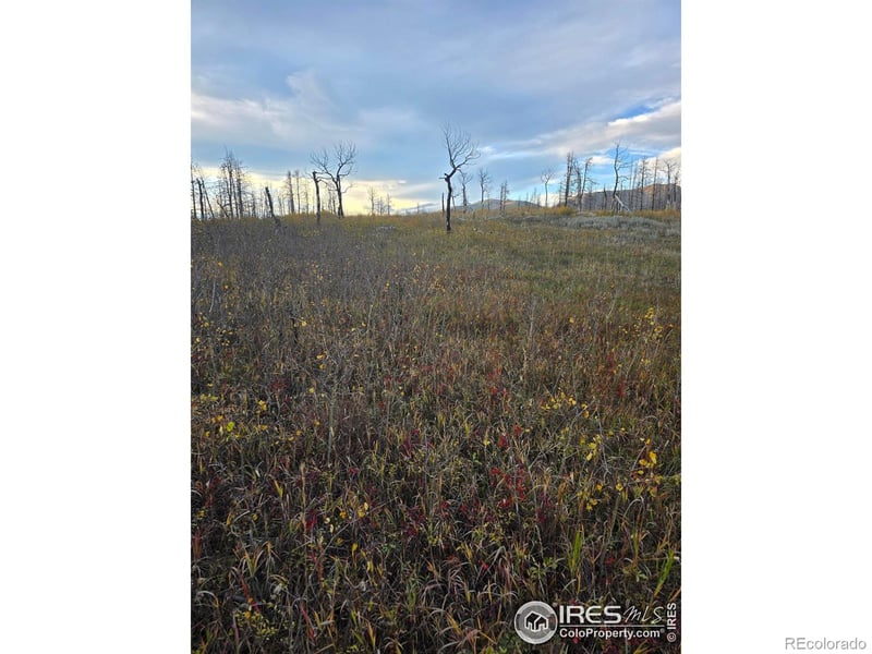 75 Sheep Horn Ct, Bellvue, CO 80512