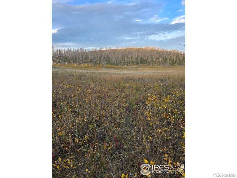 75 Sheep Horn Ct, Bellvue, CO 80512