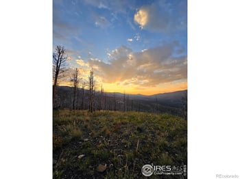 75 Sheep Horn Ct, Bellvue, CO 80512