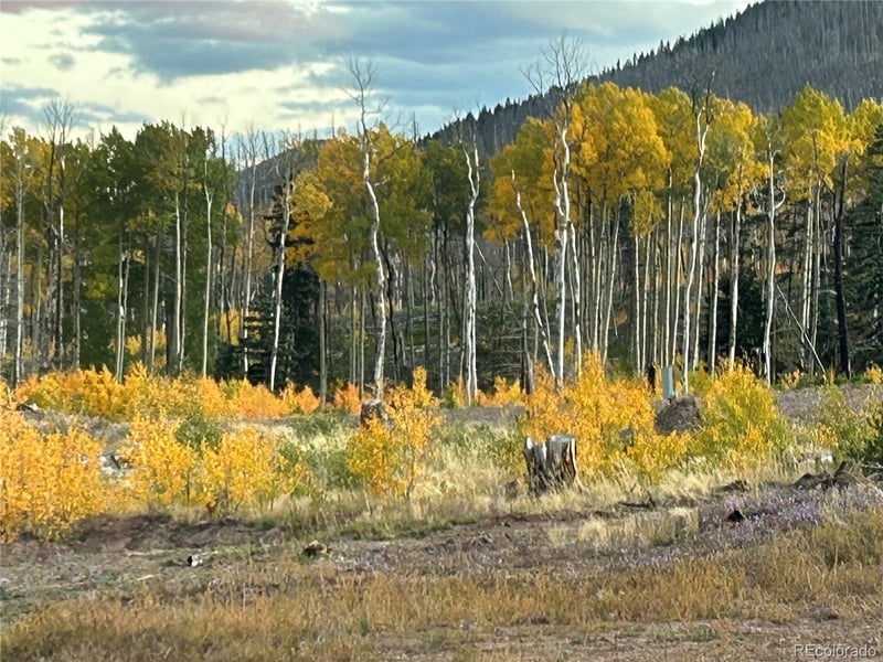 1944 Strauss Dr, Fort Garland, CO 81133