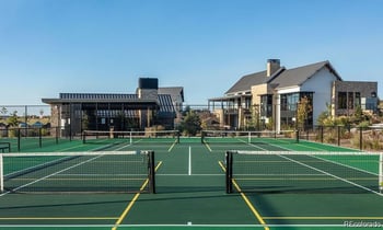 497 Leafy Aster Ln, Castle Rock, CO 80104