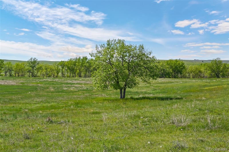 Parcel A W County Road 105, Ramah, CO 80832