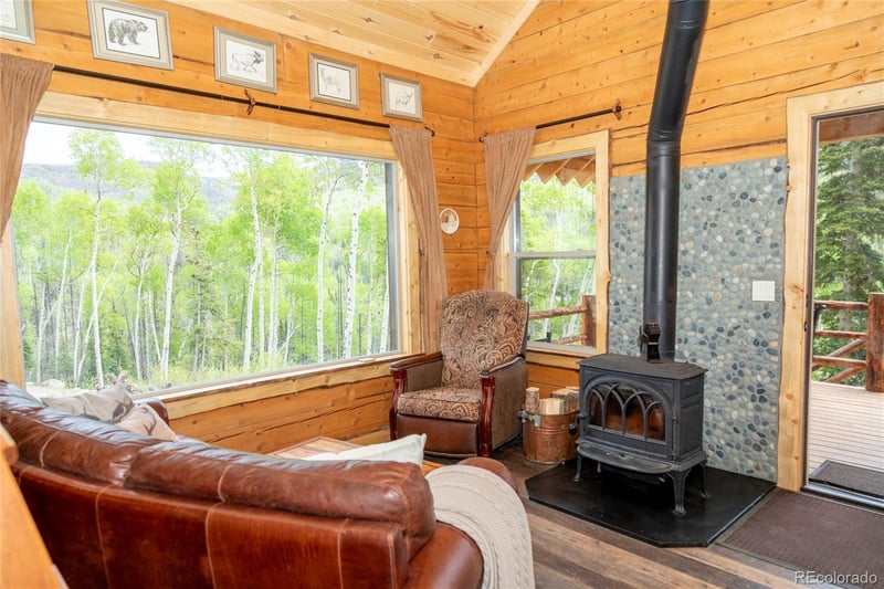 5565 Forest Rd 504, Creede, CO 81130
