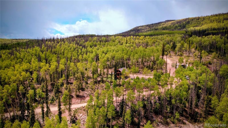 5565 Forest Rd 504, Creede, CO 81130