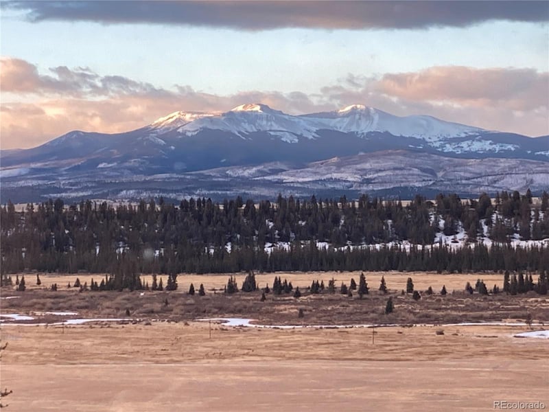 167 Arthurs Ct, Fairplay, CO 80440