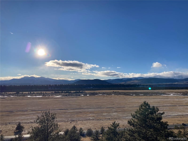 167 Arthurs Ct, Fairplay, CO 80440