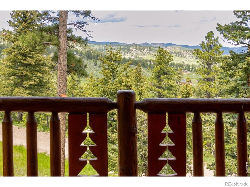 679 Mount Massive Dr, Livermore, CO 80536