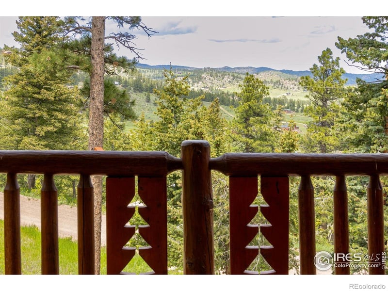 679 Mount Massive Dr, Livermore, CO 80536