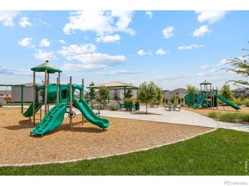 968 Cascade Falls St, Severance, CO 80550