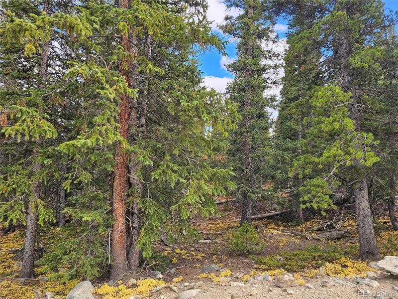 617 Gold Trail Cir, Fairplay, CO 80440