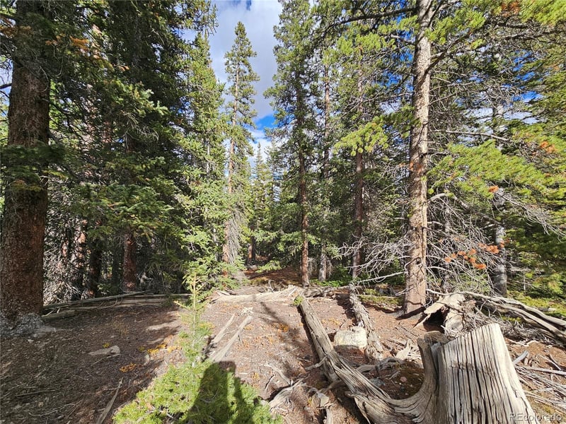 617 Gold Trail Cir, Fairplay, CO 80440