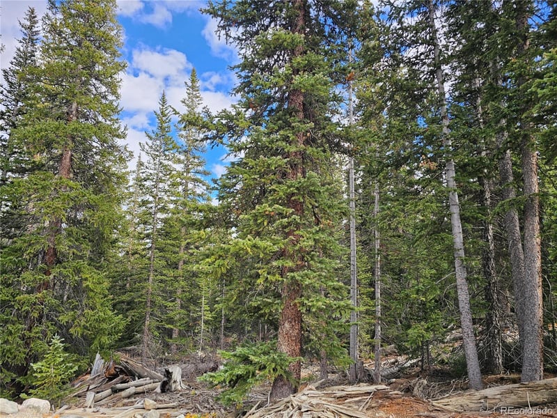 617 Gold Trail Cir, Fairplay, CO 80440