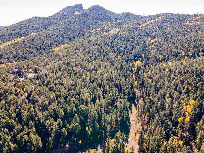 12301 Black Hawk Trl, Conifer, CO 80433