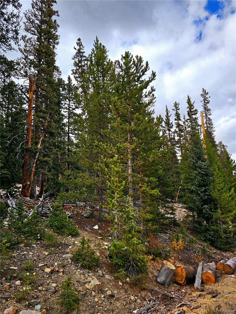 387 El Lobo Ln, Fairplay, CO 80440