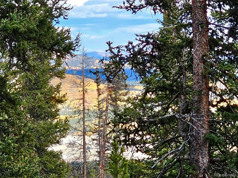 387 El Lobo Ln, Fairplay, CO 80440