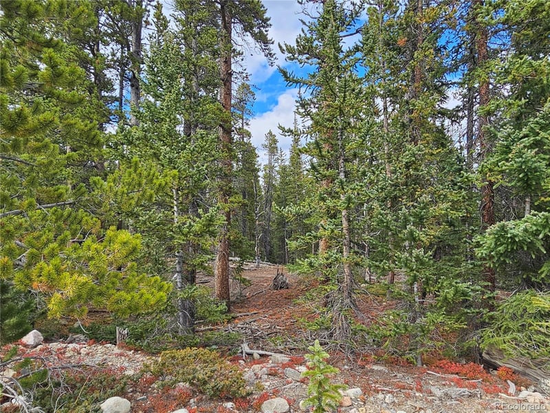 100 Miner"s Way, Fairplay, CO 80440