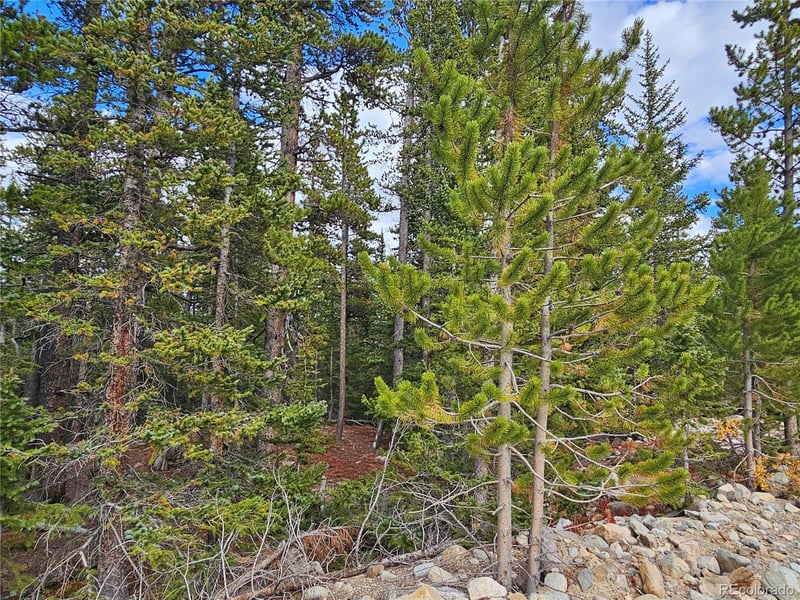 100 Miner"s Way, Fairplay, CO 80440