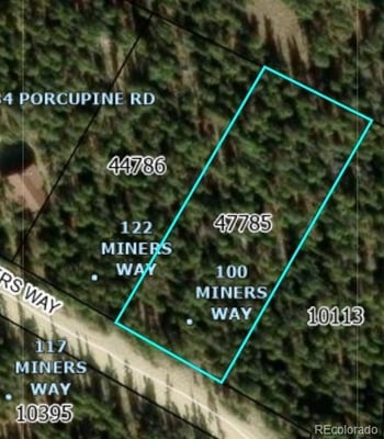 100 Miner"s Way, Fairplay, CO 80440