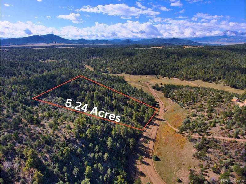 176 Arnold Dr, Cotopaxi, CO 81223