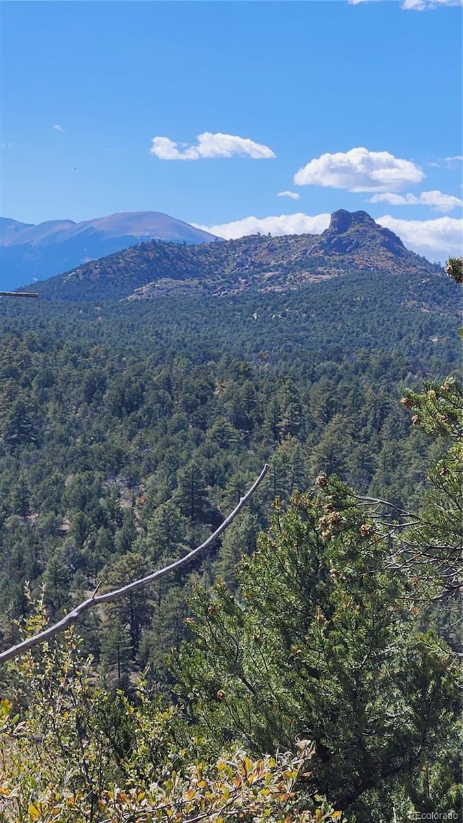 176 Arnold Dr, Cotopaxi, CO 81223