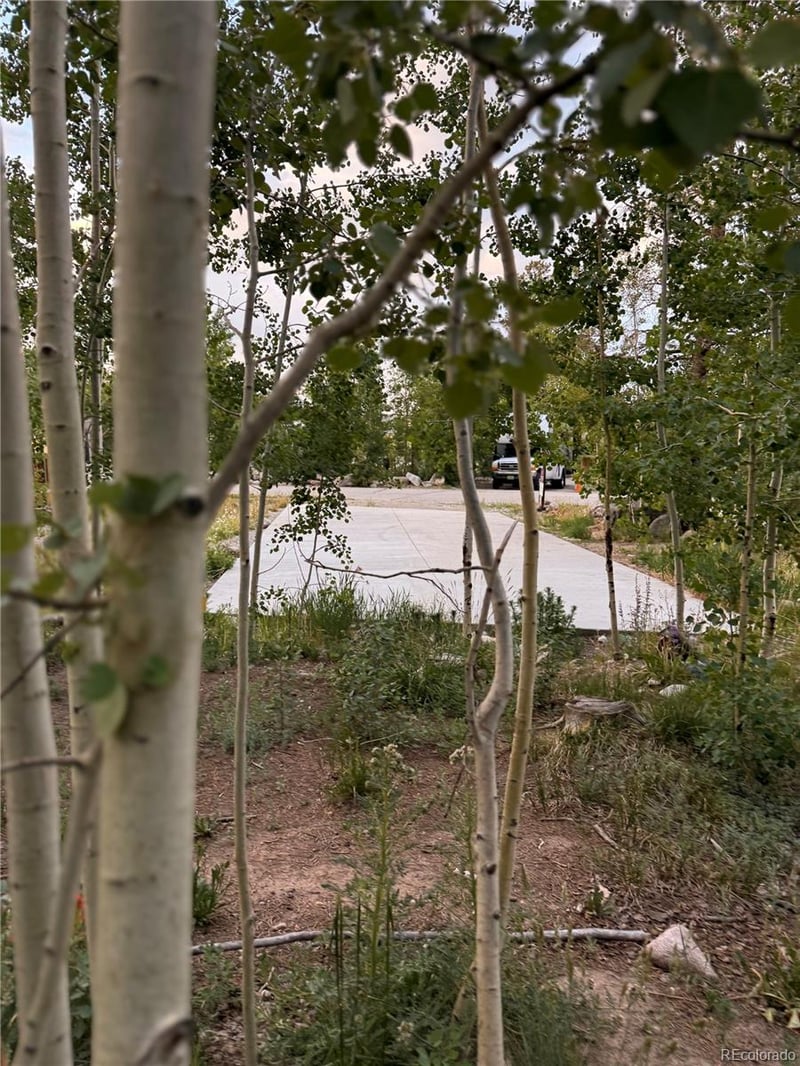 Sunshine Loop, Fairplay, CO 80440