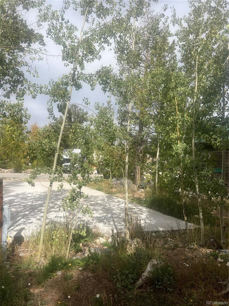 Sunshine Loop, Fairplay, CO 80440