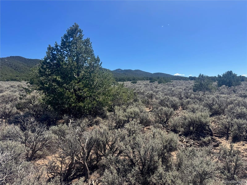 lot 1275 Juarez Rd, Fort Garland, CO 81133