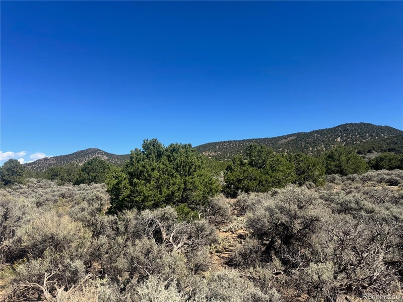 lot 1275 Juarez Rd, Fort Garland, CO 81133