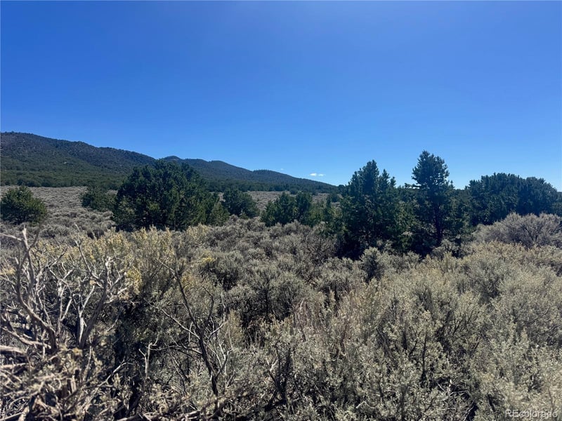 lot 1275 Juarez Rd, Fort Garland, CO 81133