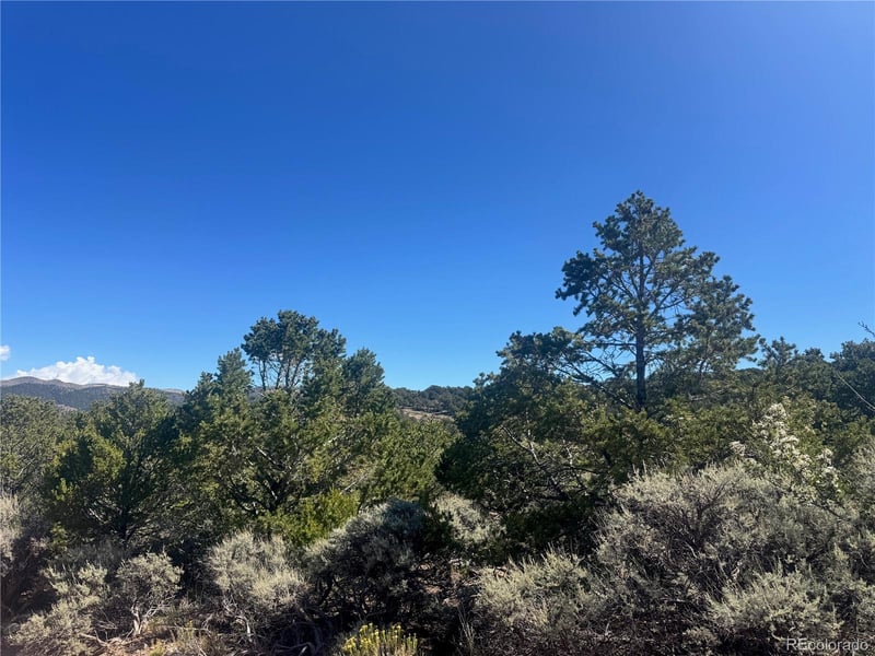 lot 7876 Stone Rd, Fort Garland, CO 81133