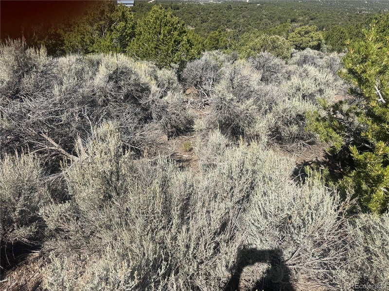 lot 7876 Stone Rd, Fort Garland, CO 81133