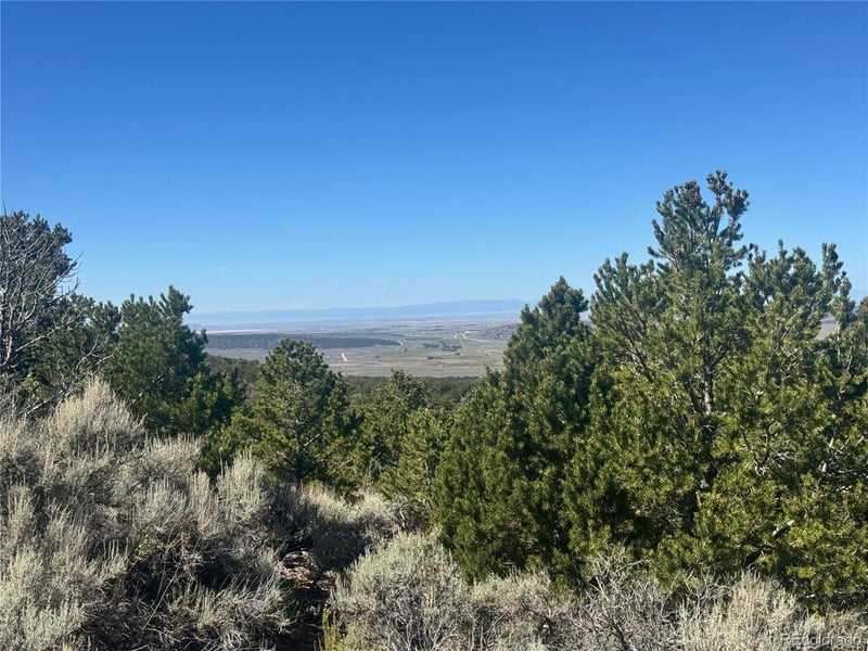 lot 7876 Stone Rd, Fort Garland, CO 81133
