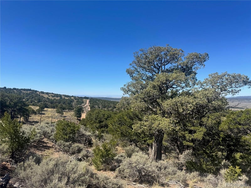 lot 7878 Stone Rd, Fort Garland, CO 81133