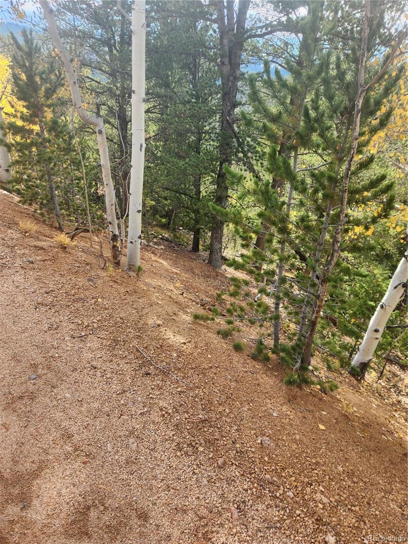 72 Hall Rd, Bailey, CO 80421