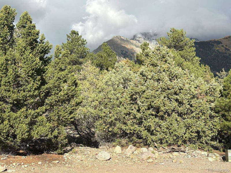 1693 Columbine , Crestone, CO 81131