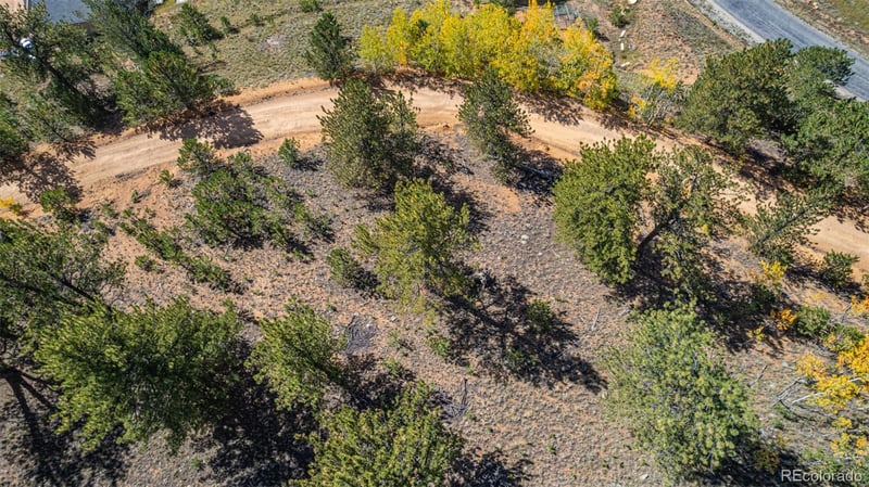 103 Gross Rd, Bailey, CO 80421