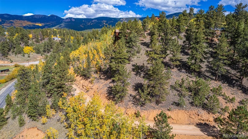 103 Gross Rd, Bailey, CO 80421