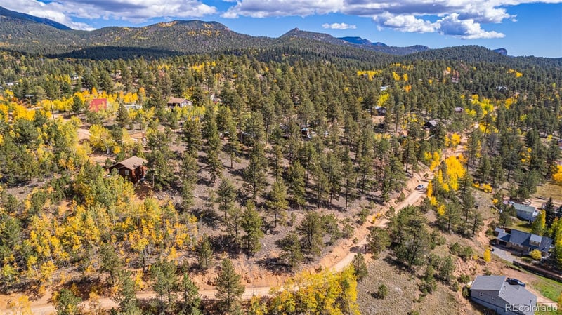 103 Gross Rd, Bailey, CO 80421