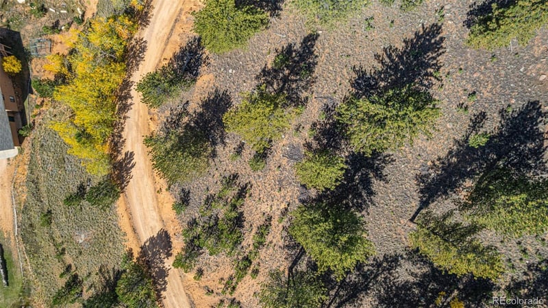 103 Gross Rd, Bailey, CO 80421