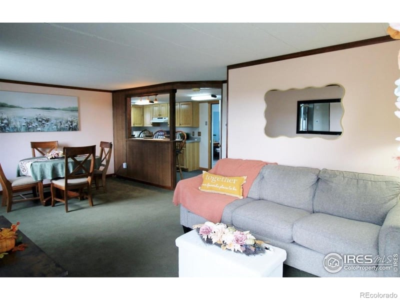 3749 Boxelder Ct, Wellington, CO 80549