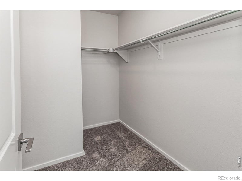 774 Trumpet Ct, Windsor, CO 80550