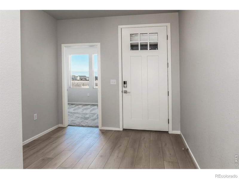 774 Trumpet Ct, Windsor, CO 80550